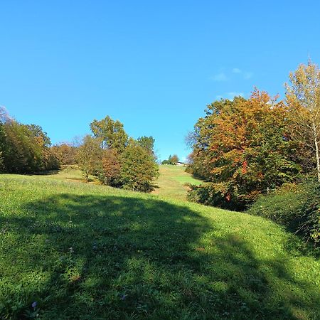 Agriturismo Fattoria Ortoalpino Trichiana Экстерьер фото