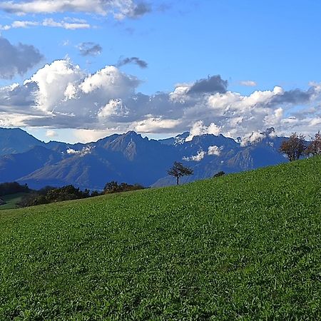 Agriturismo Fattoria Ortoalpino Trichiana Экстерьер фото
