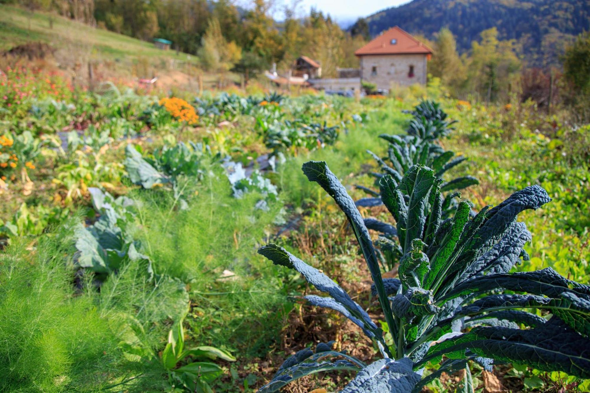 Agriturismo Fattoria Ortoalpino Trichiana Экстерьер фото