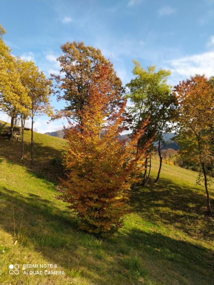 Agriturismo Fattoria Ortoalpino Trichiana Экстерьер фото