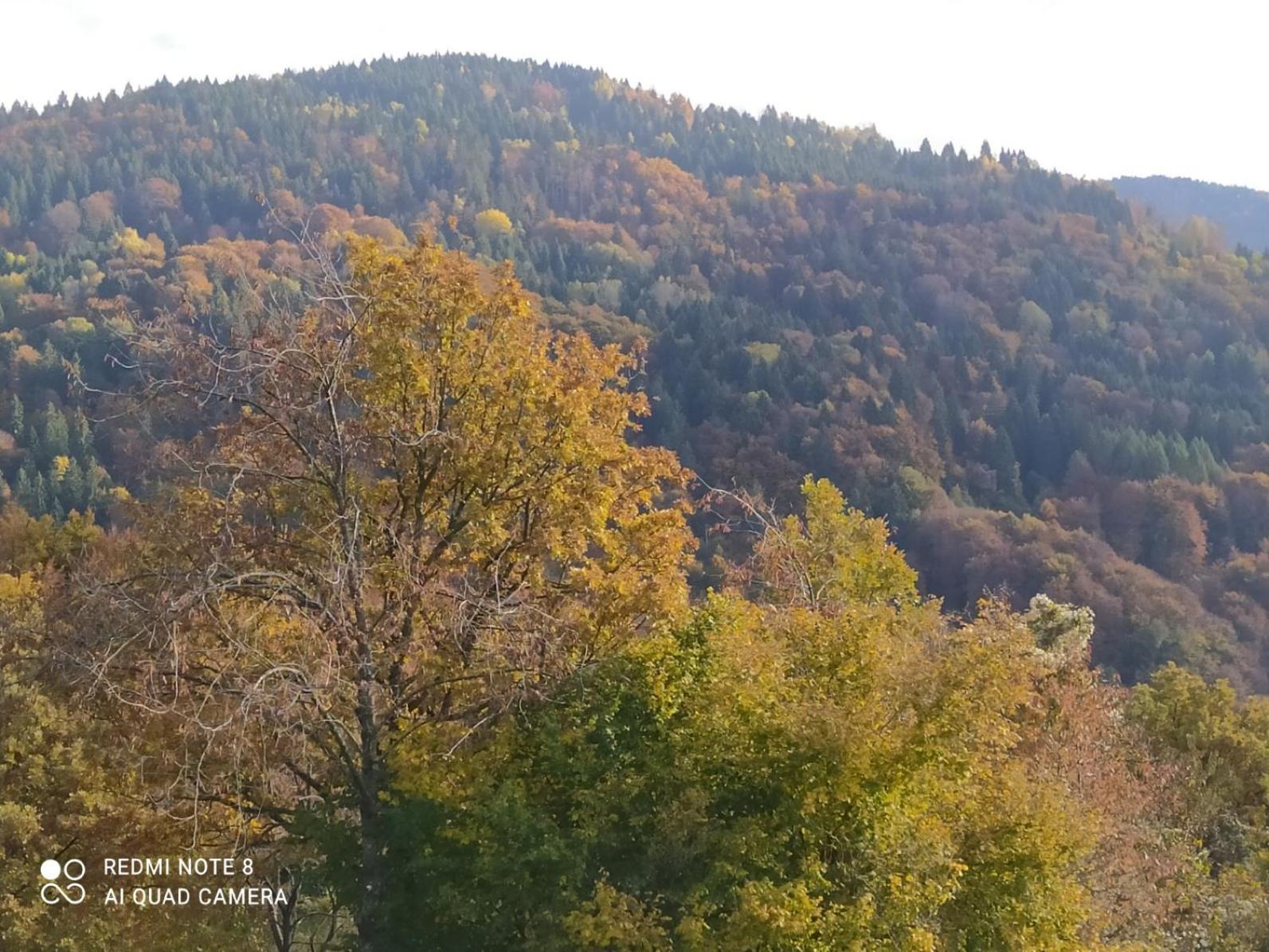 Agriturismo Fattoria Ortoalpino Trichiana Экстерьер фото