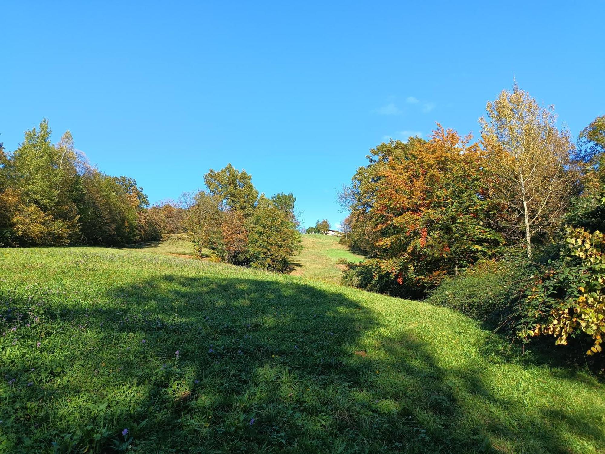 Agriturismo Fattoria Ortoalpino Trichiana Экстерьер фото