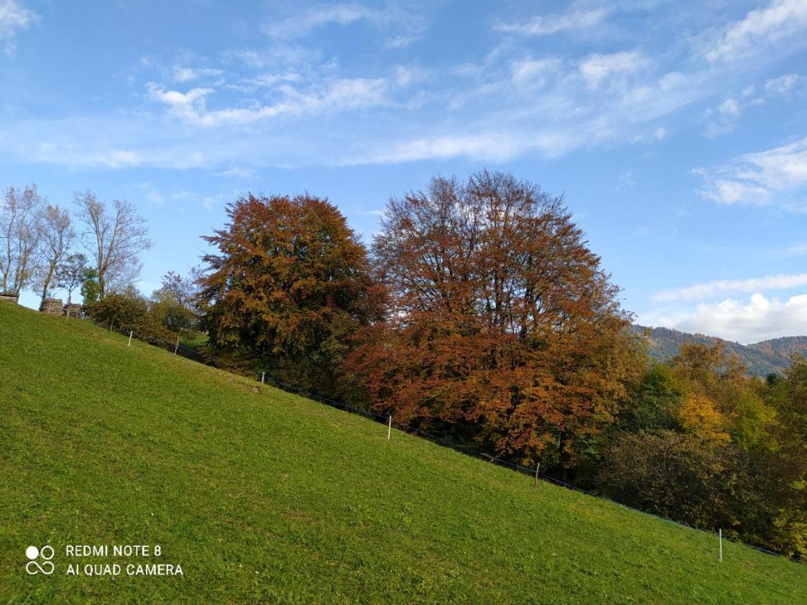 Agriturismo Fattoria Ortoalpino Trichiana Экстерьер фото