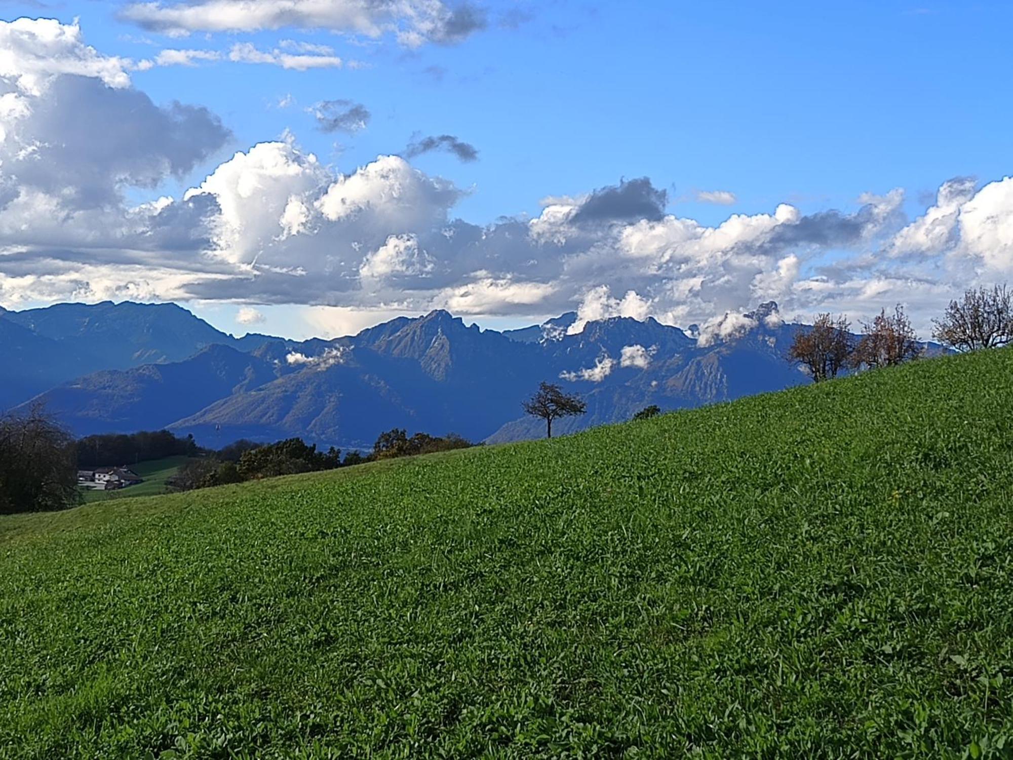 Agriturismo Fattoria Ortoalpino Trichiana Экстерьер фото