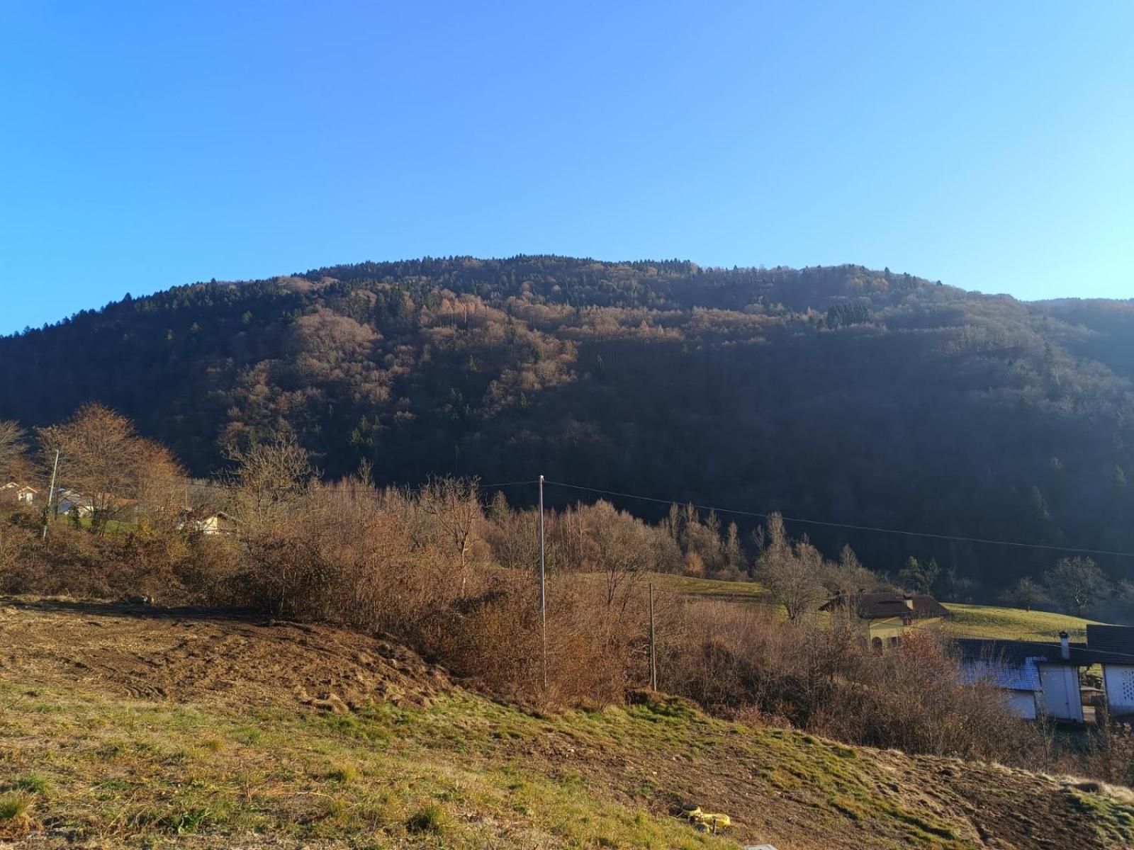 Agriturismo Fattoria Ortoalpino Trichiana Экстерьер фото