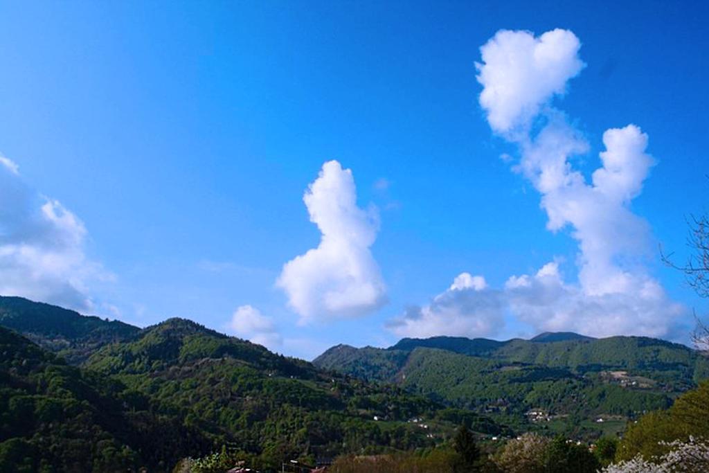 Agriturismo Fattoria Ortoalpino Trichiana Экстерьер фото
